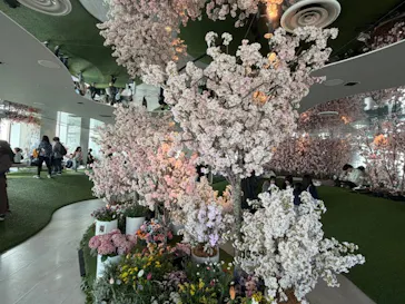 サンシャイン60展望台に投稿された画像（2026/4/27）