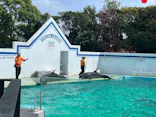 しながわ水族館に投稿された画像（2026/4/27）