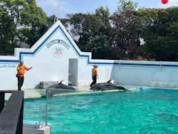 しながわ水族館に投稿された画像（2026/4/27）