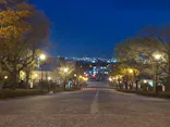函館まちあるきガイドに投稿された画像（2026/4/27）