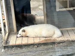 しろとり動物園に投稿された画像（2026/4/27）