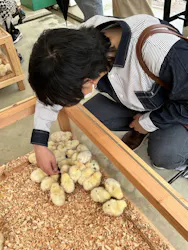 しろとり動物園に投稿された画像（2026/4/27）