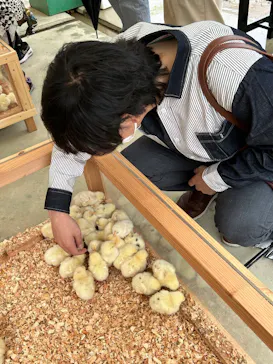 しろとり動物園に投稿された画像（2026/4/27）
