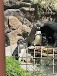 サンシャイン水族館に投稿された画像（2026/4/28）