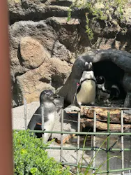 サンシャイン水族館に投稿された画像（2026/4/27）