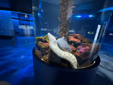 広島もとまち水族館に投稿された画像（2026/4/28）
