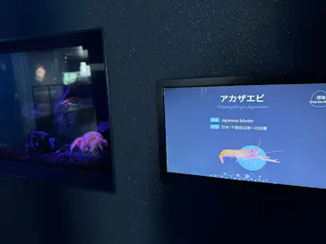 広島もとまち水族館に投稿された画像（2026/4/28）