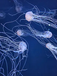 サンシャイン水族館に投稿された画像（2026/4/28）