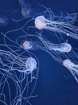 サンシャイン水族館に投稿された画像（2026/4/28）