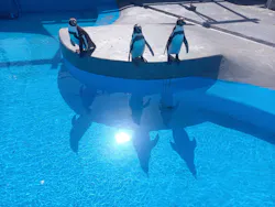 南知多ビーチランド＆南知多おもちゃ王国に投稿された画像（2026/4/28）