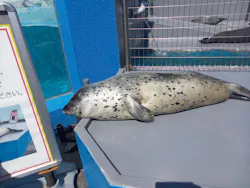 南知多ビーチランド＆南知多おもちゃ王国に投稿された画像（2026/4/28）