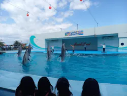 南知多ビーチランド＆南知多おもちゃ王国に投稿された画像（2026/4/28）