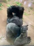 名古屋市東山動植物園に投稿された画像（2026/4/28）