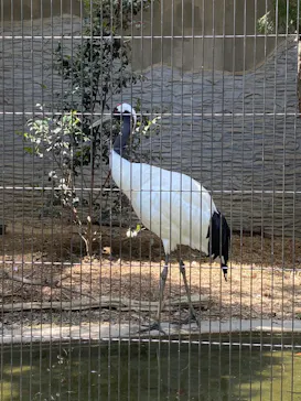 名古屋市東山動植物園に投稿された画像（2026/4/28）