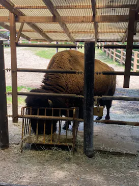 名古屋市東山動植物園に投稿された画像（2026/4/28）