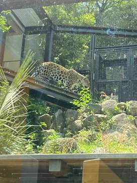 名古屋市東山動植物園に投稿された画像（2026/4/28）