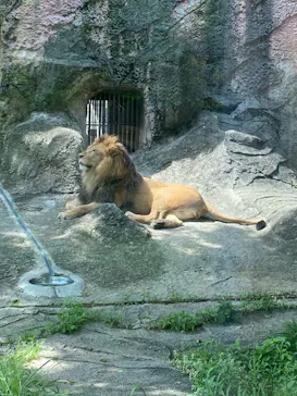 名古屋市東山動植物園に投稿された画像（2026/4/28）