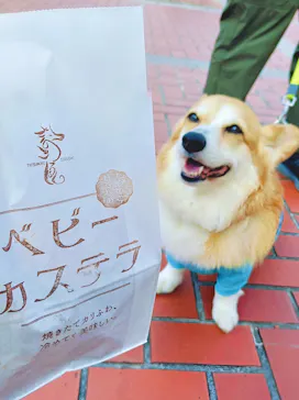 こうべアグリパークネモフィラの丘に投稿された画像（2026/4/28）