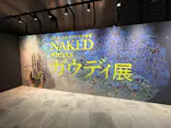 NAKED meets ガウディ展【大阪】に投稿された画像（2026/4/28）