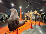 特別展「超危険生物展　科学で挑む生き物の本気」に投稿された画像（2026/4/28）
