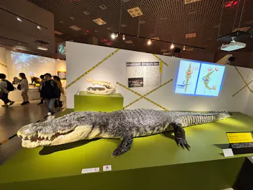 特別展「超危険生物展　科学で挑む生き物の本気」に投稿された画像（2026/4/28）