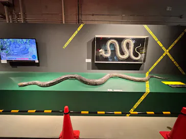 特別展「超危険生物展　科学で挑む生き物の本気」に投稿された画像（2026/4/28）