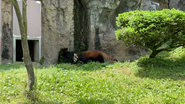 多摩動物公園に投稿された画像（2026/4/28）