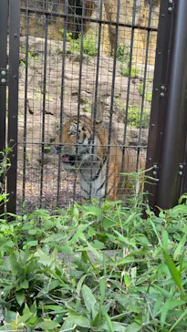 多摩動物公園に投稿された画像（2026/4/28）
