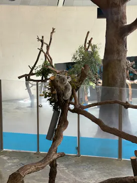 多摩動物公園に投稿された画像（2026/4/28）
