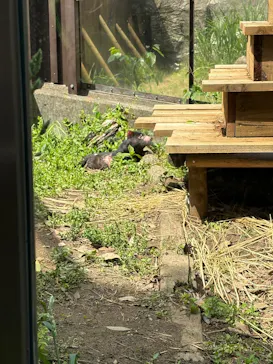 多摩動物公園に投稿された画像（2026/4/28）
