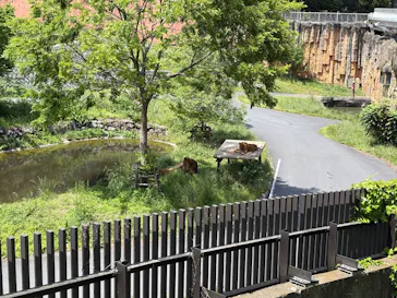 多摩動物公園に投稿された画像（2026/4/28）