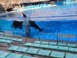 名古屋港水族館に投稿された画像（2026/4/28）