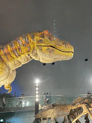 福井県立恐竜博物館に投稿された画像（2026/4/28）