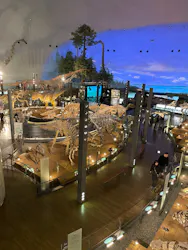 福井県立恐竜博物館に投稿された画像（2026/4/28）