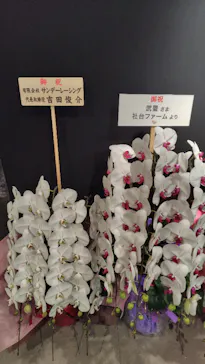 武豊 デビュー40年 ～前人未到の記録～　（銀座三越）に投稿された画像（2026/4/28）