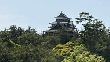 松江城に投稿された画像（2026/4/28）