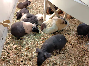 アニタッチみなとみらいに投稿された画像（2026/4/28）