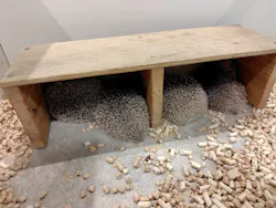 アニタッチみなとみらいに投稿された画像（2026/4/28）