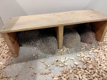 アニタッチみなとみらいに投稿された画像（2026/4/28）