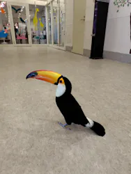 アニタッチみなとみらいに投稿された画像（2026/4/28）