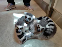 アニタッチみなとみらいに投稿された画像（2026/4/28）