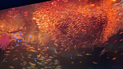 アクアワールド茨城県大洗水族館に投稿された画像（2026/4/28）