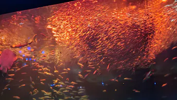 アクアワールド茨城県大洗水族館に投稿された画像（2026/4/28）