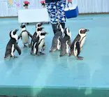 横浜・八景島シーパラダイスに投稿された画像（2026/4/28）