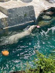 天王寺動物園に投稿された画像（2026/4/28）