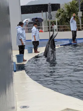 大分マリーンパレス水族館 「うみたまご」に投稿された画像（2026/4/28）