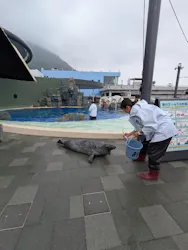 大分マリーンパレス水族館 「うみたまご」に投稿された画像（2026/4/28）