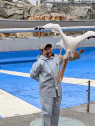 大分マリーンパレス水族館 「うみたまご」に投稿された画像（2026/4/28）