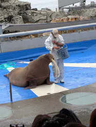 大分マリーンパレス水族館 「うみたまご」に投稿された画像（2026/4/28）