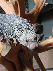 カワスイ 川崎⽔族館に投稿された画像（2026/4/28）